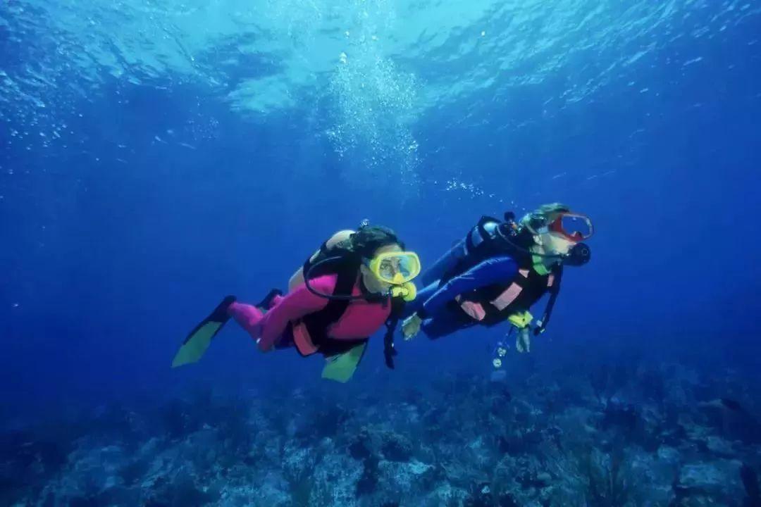 逃离小怪世界